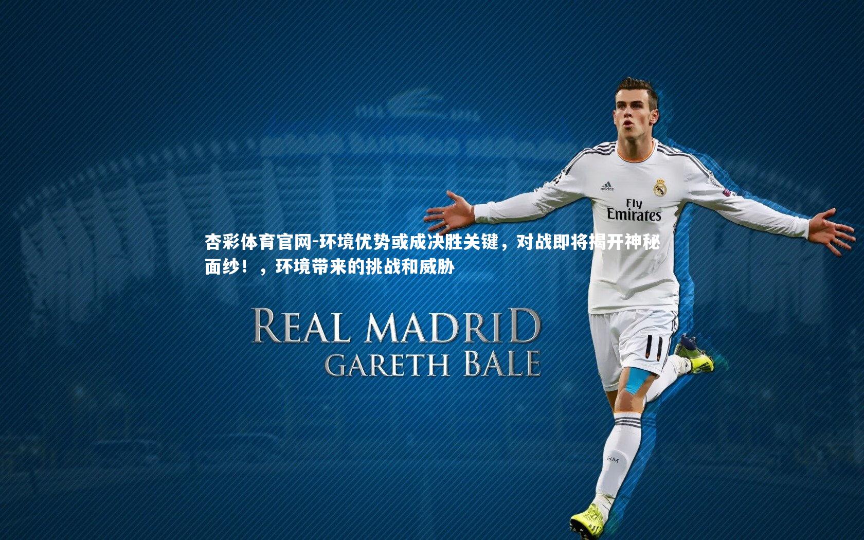 环境优势或成决胜关键,对战即将揭开神秘面纱!,环境带来的挑战和威胁