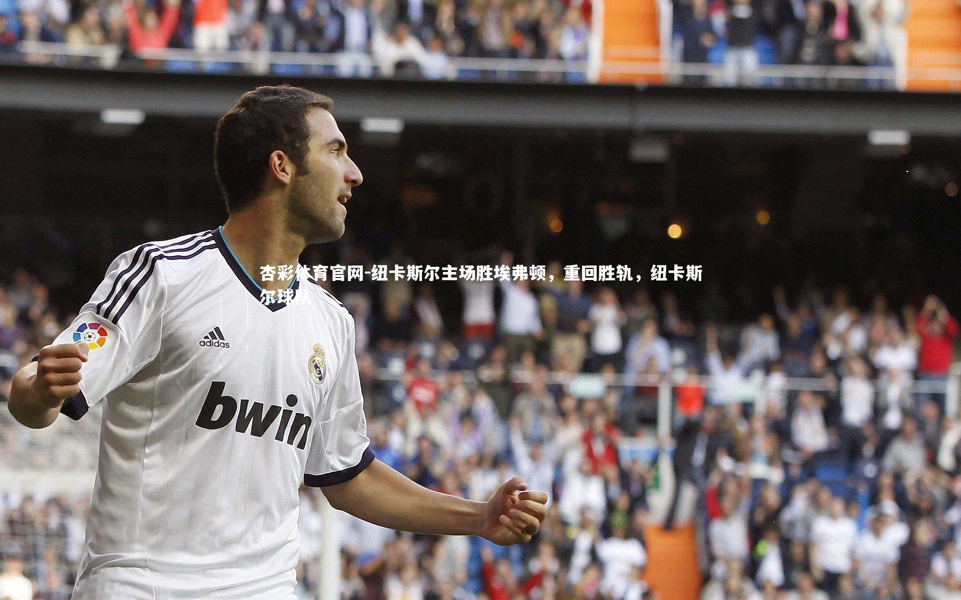 纽卡斯尔主场胜埃弗顿，重回胜轨，纽卡斯尔球队